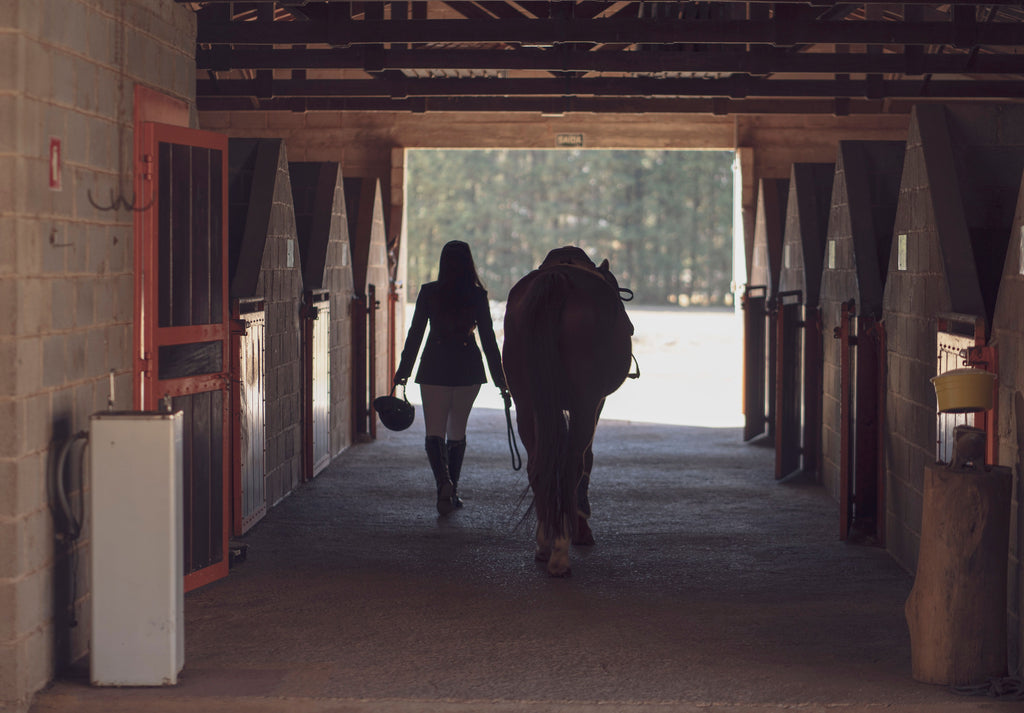 Bordeaux: Exploring the Forest on Horseback