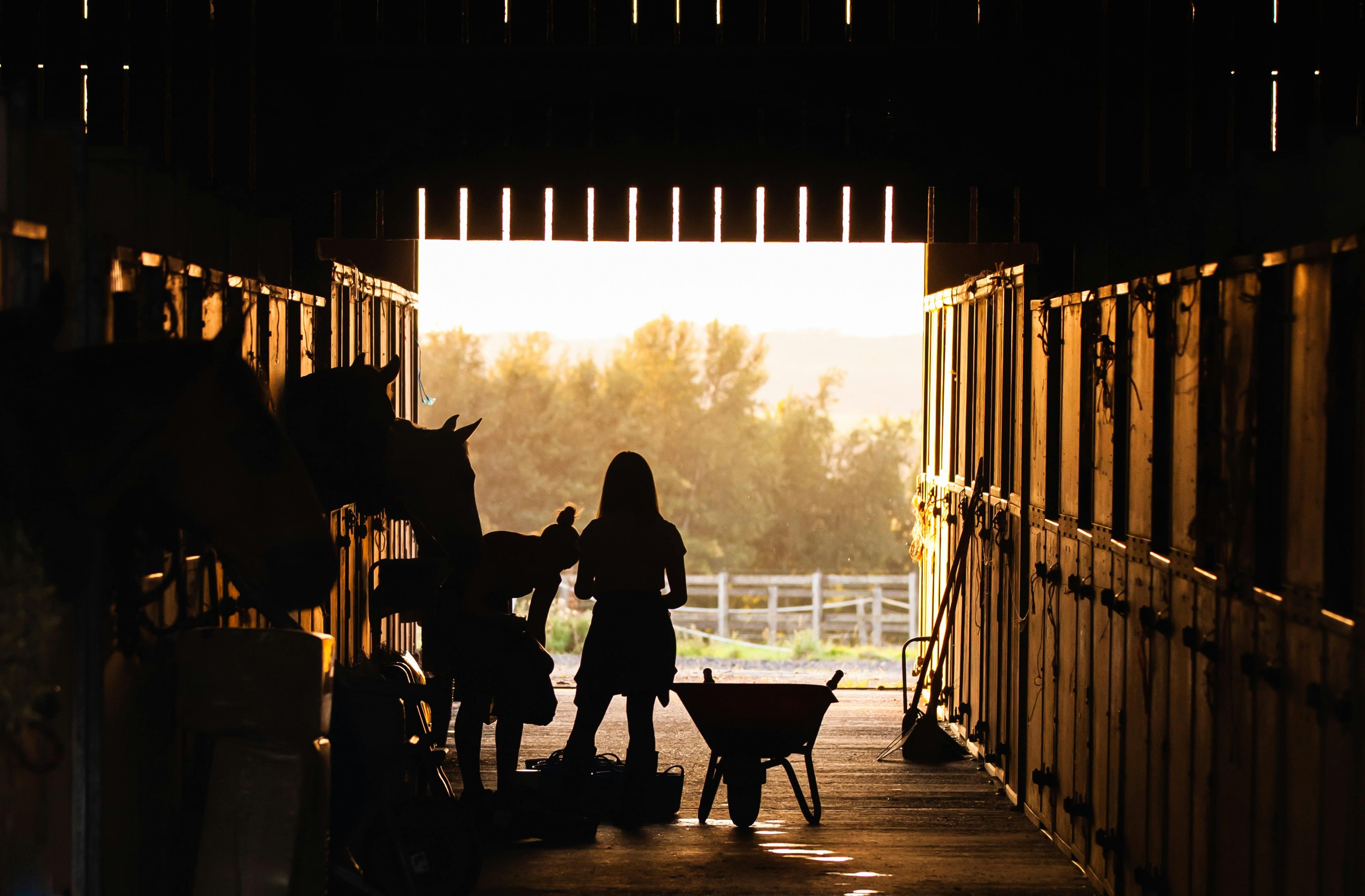Brittany – An Authentic Organic Farmstead & Ethological Trail Riding Escape