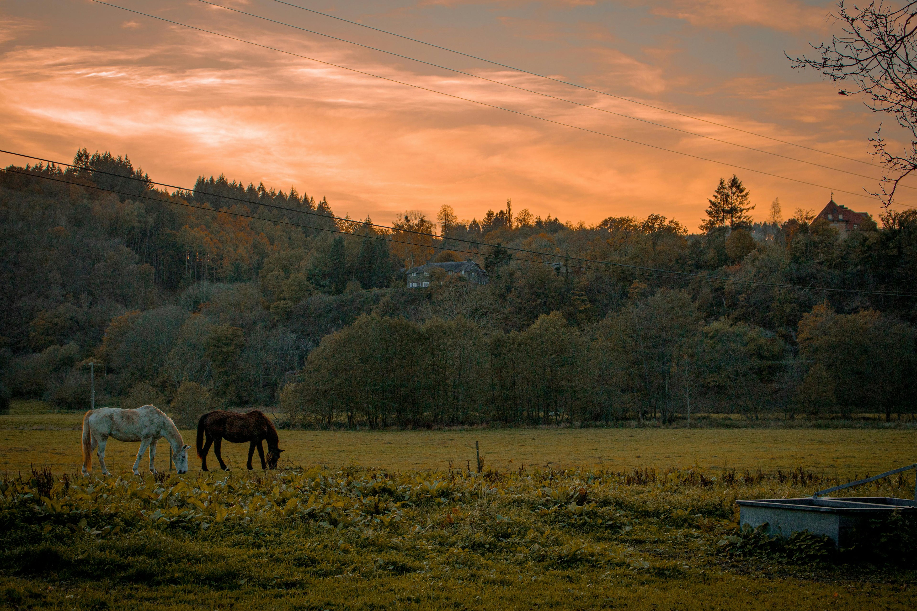 Dordogne – A Charming Stone Hamlet Retreat with Woodland Trails & Pure Countryside Serenity