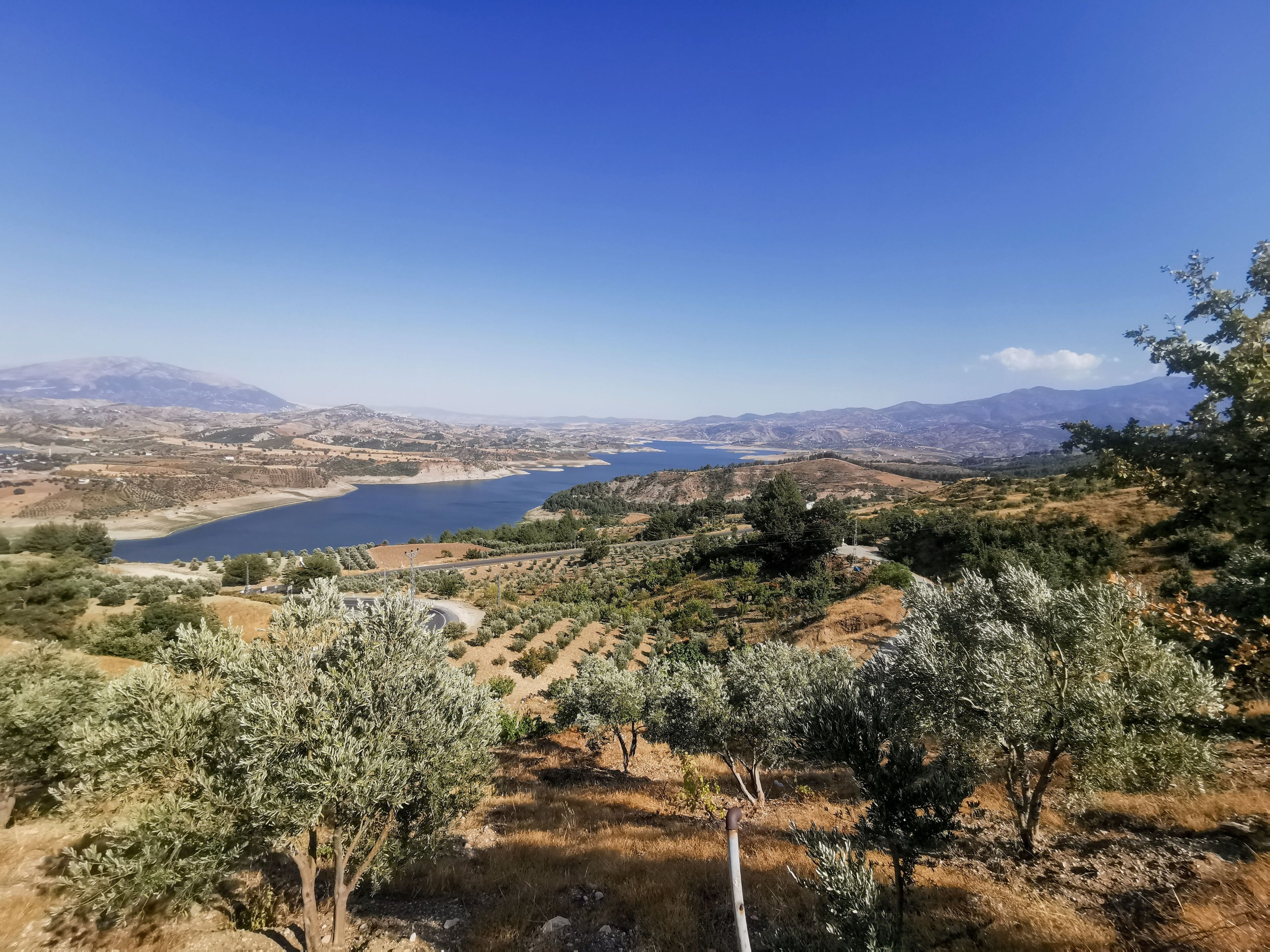 Málaga: Scenic Full-Day Horseback Riding Adventure with Picnic