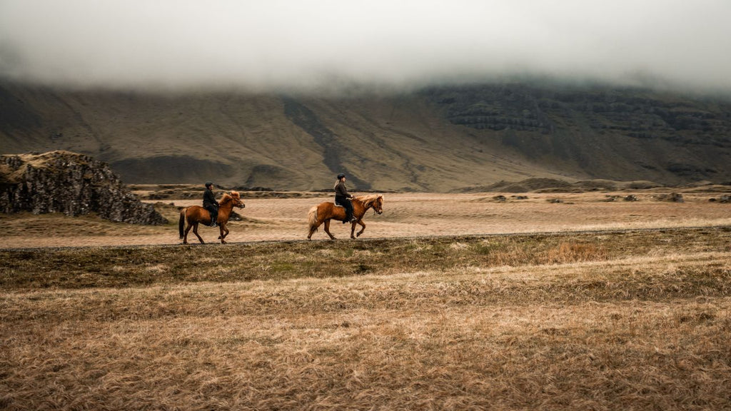 Iceland: Horseback Riding & Traditional Farm Dinner