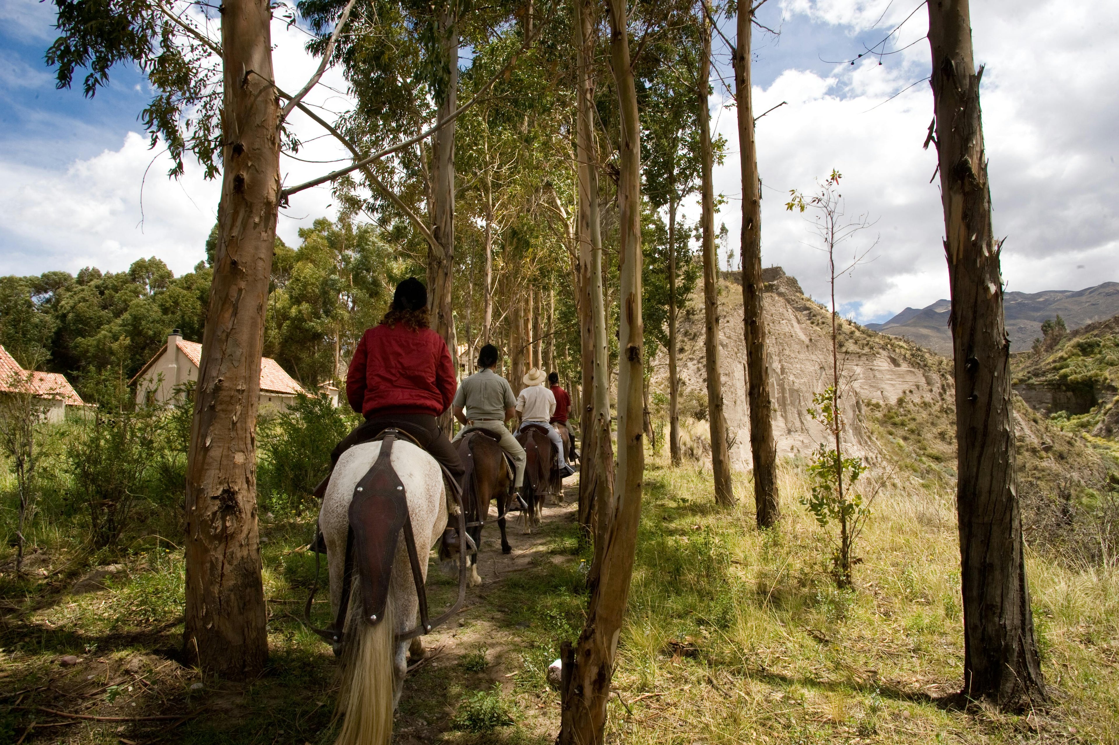 Dordogne – A Majestic Medieval Château with Forest Horseback Trails & Spa Wellness