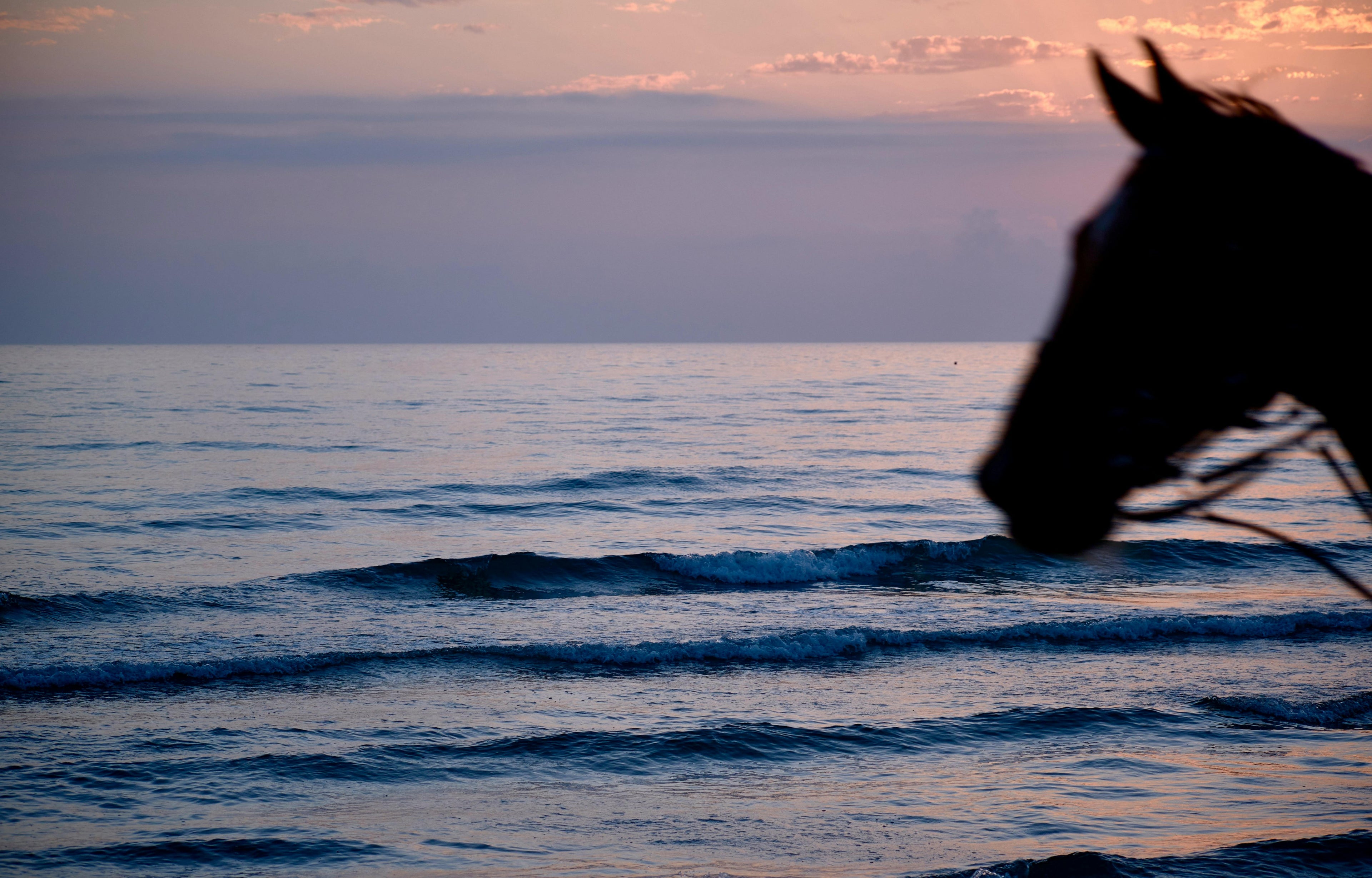 Normandy – Authentic Countryside Trail Riding & Custom Horsemanship in the Green Heart of France