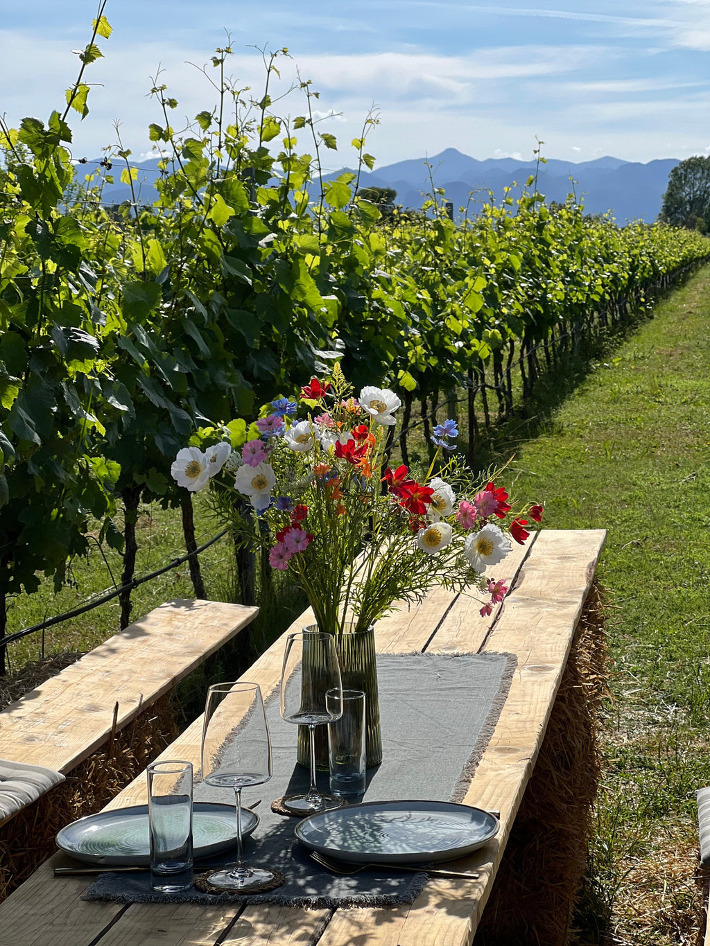 Bordeaux - Vineyard Trails & Wine Tasting