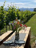 Bordeaux - Vineyard Trails & Wine Tasting