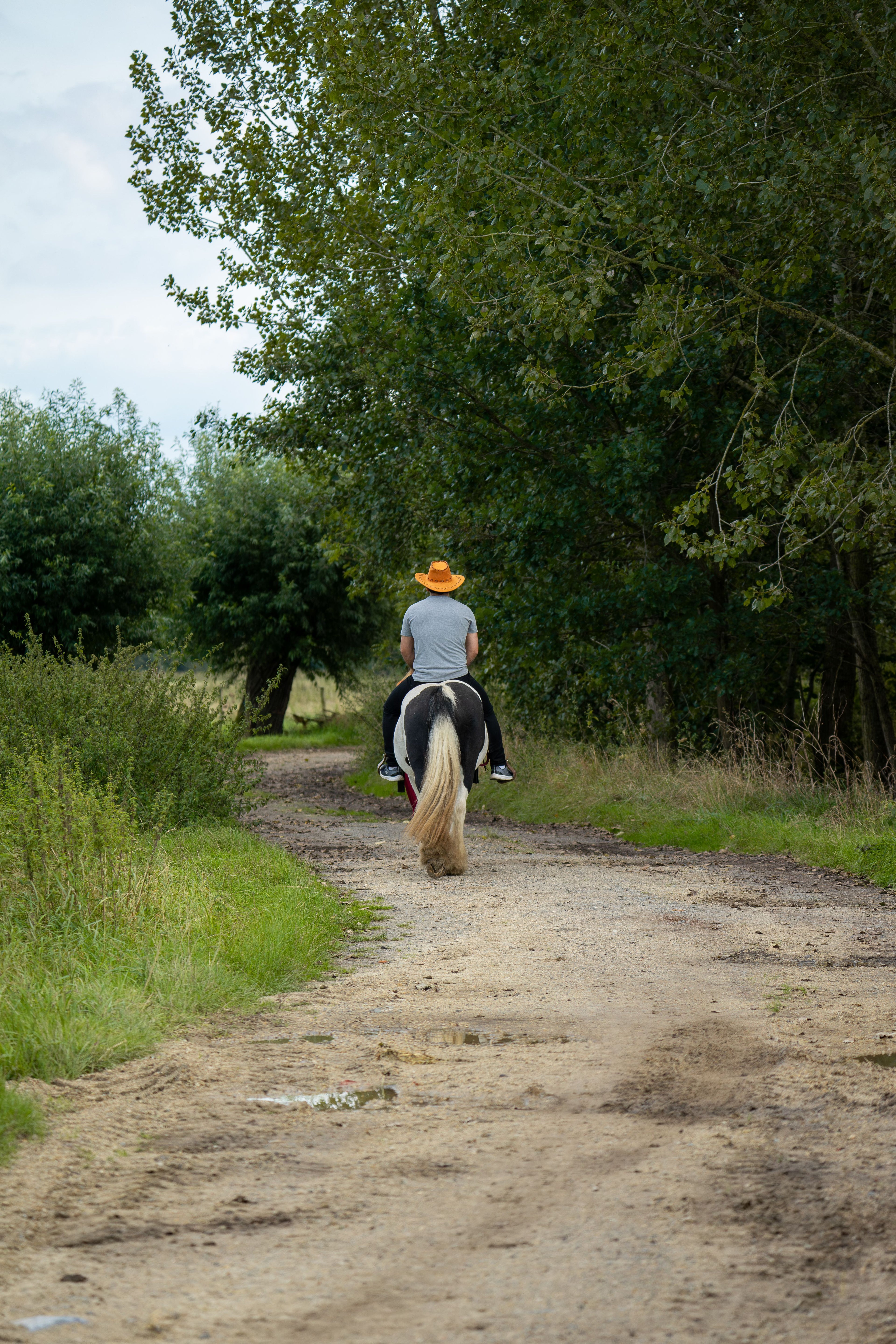 Thessaloniki, Greece - A Day in Horseback Across Timeless Landscapes