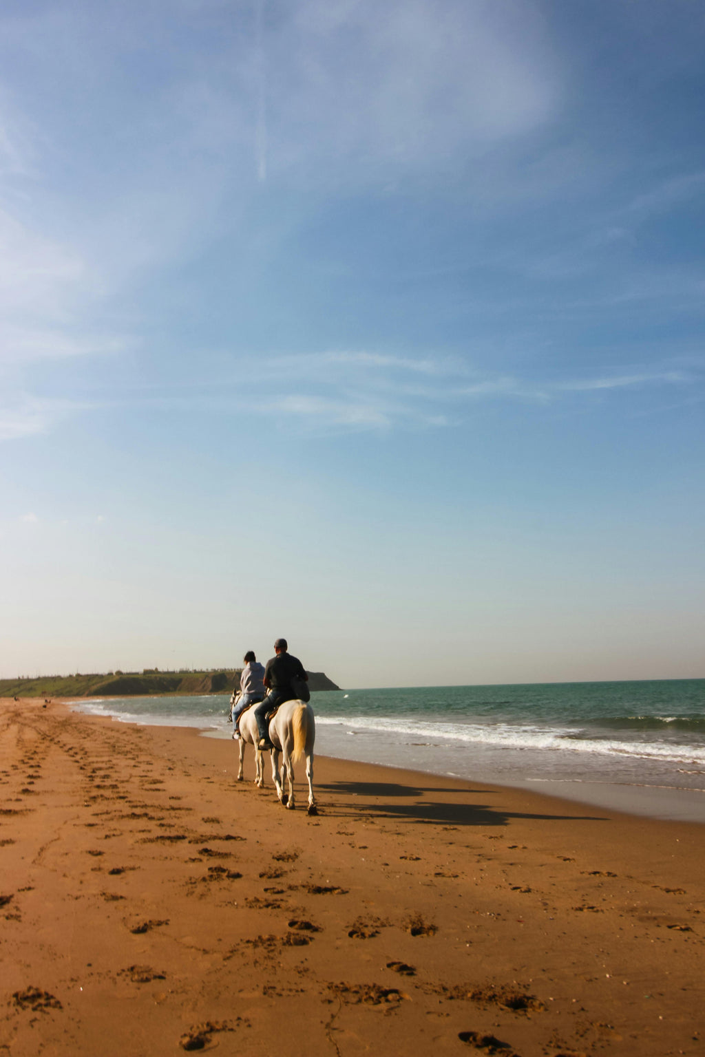 Maritime Horizons – Granite Cliffside Journeys & Epic Atlantic Beach Gallops