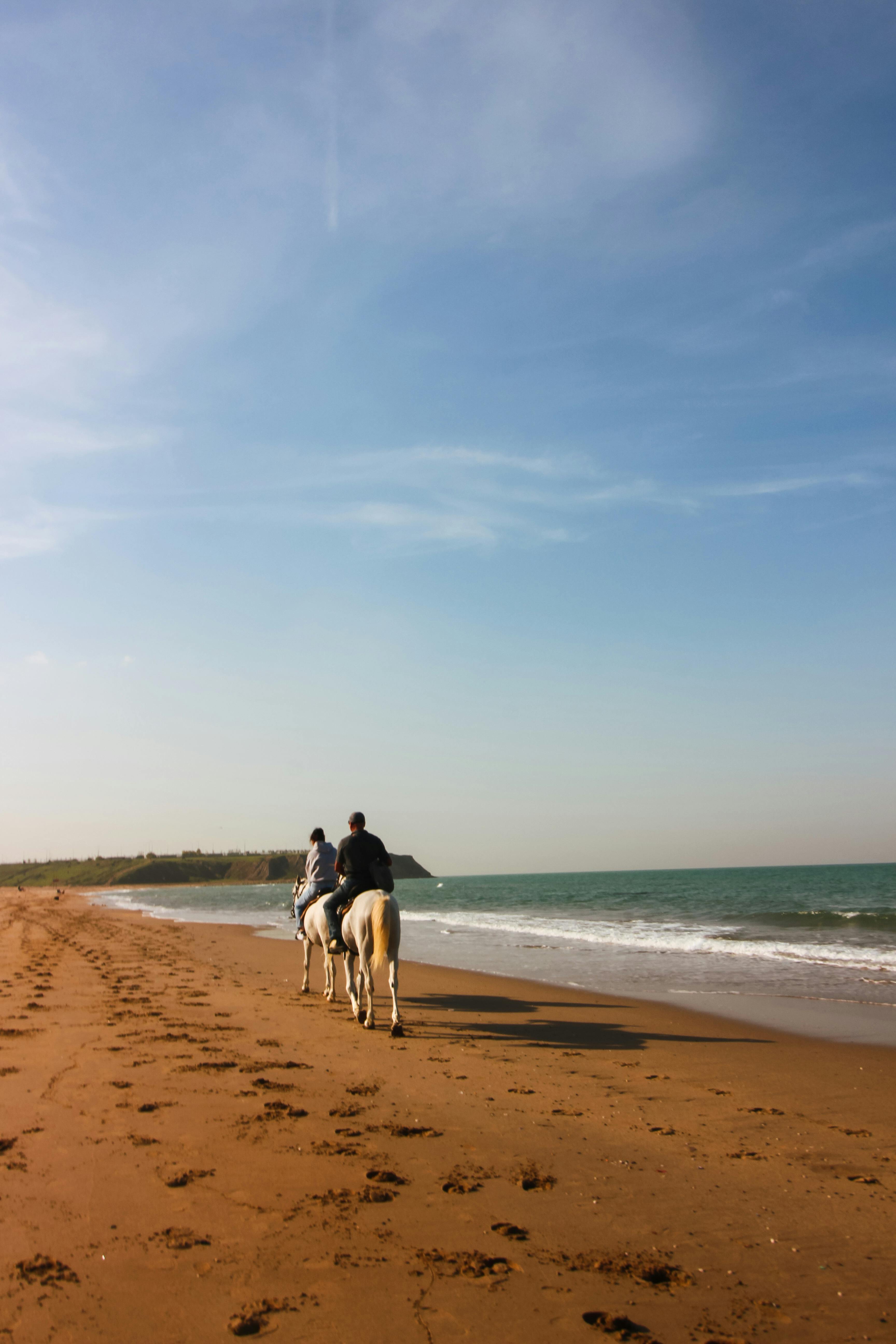 Maritime Horizons – Granite Cliffside Journeys & Epic Atlantic Beach Gallops