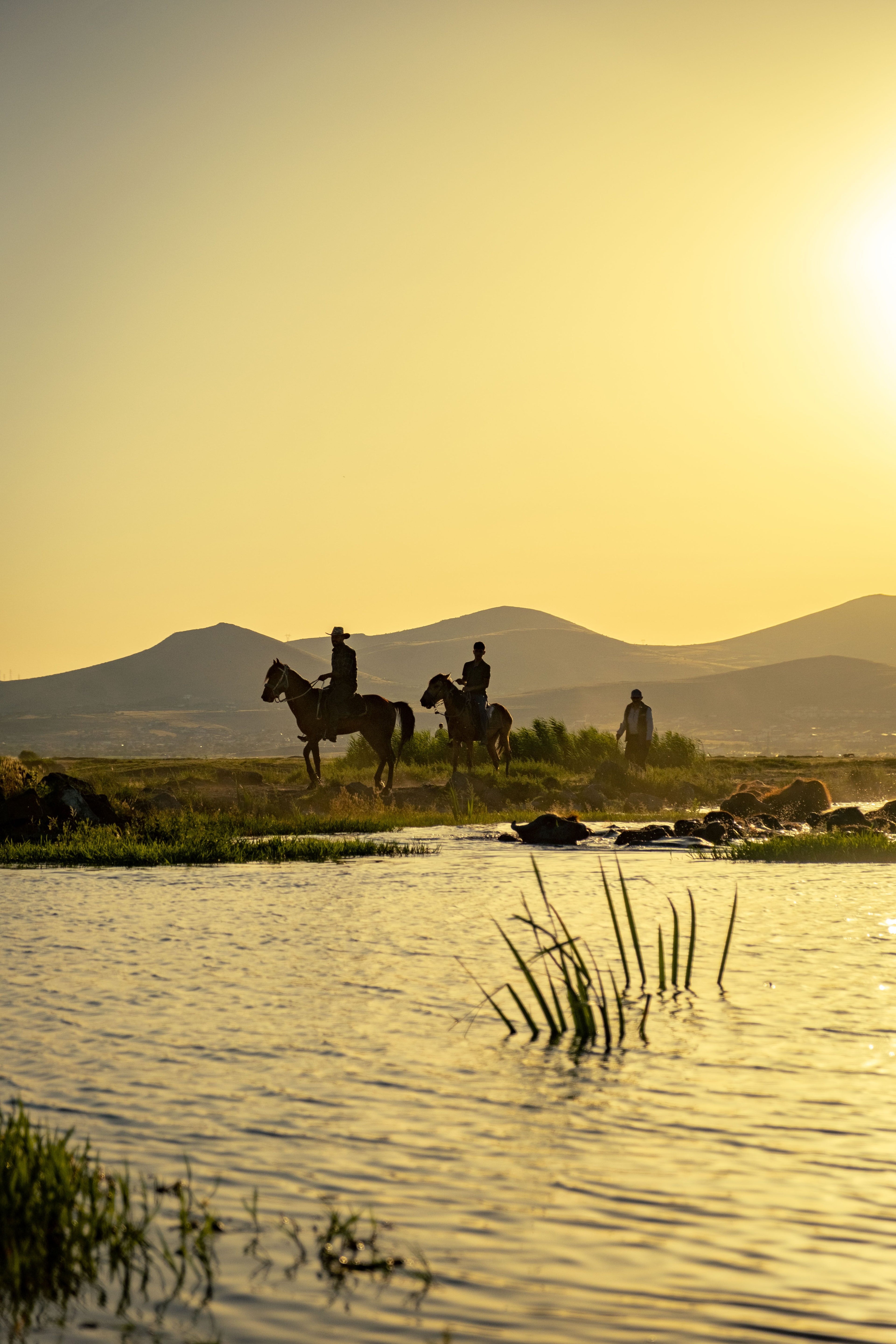 Provence - Sunset Horse RIde
