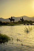 Delta Wetlands – Legendary White Horse Marshland Trails & Coastal Gallops