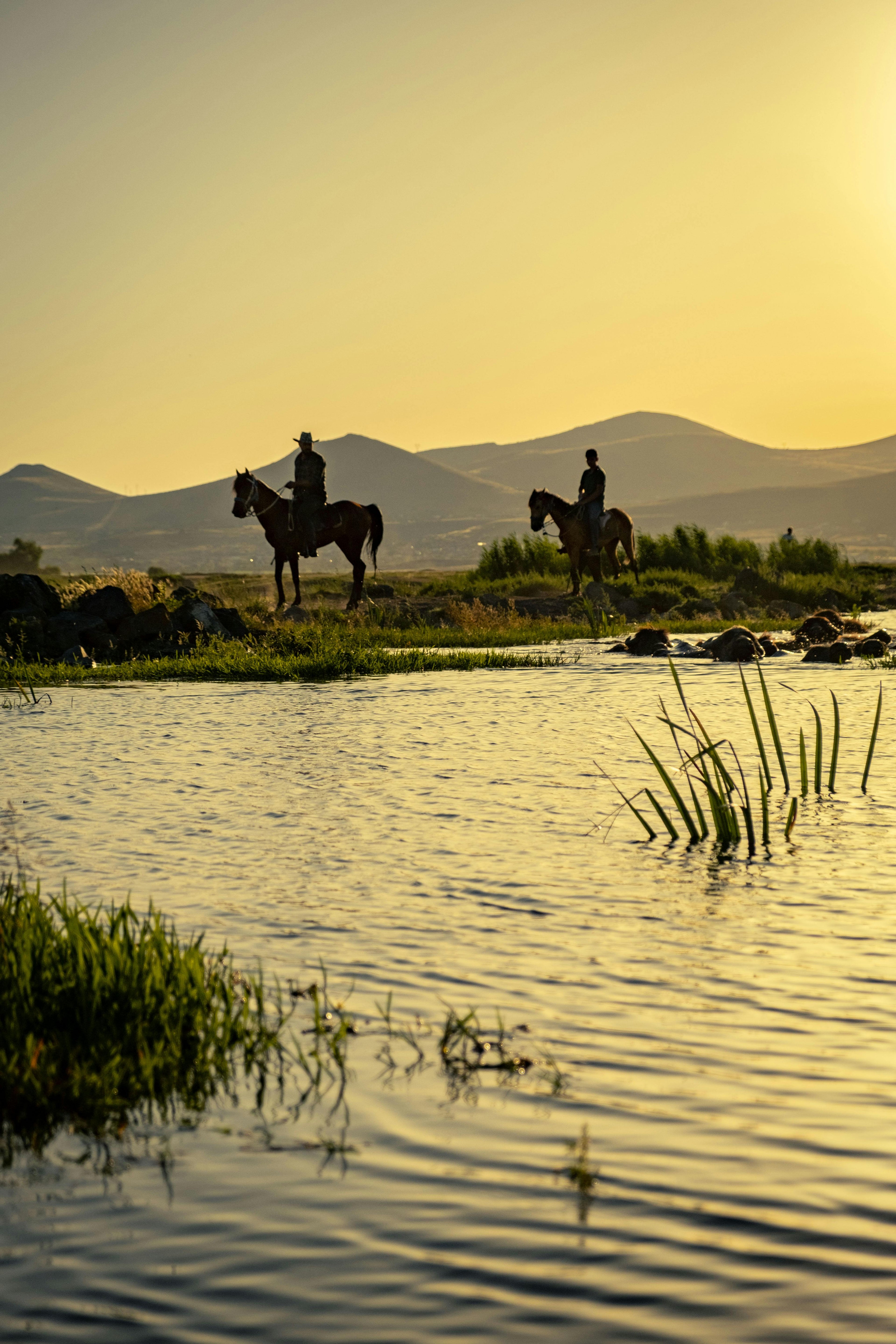 Delta Wetlands – Legendary White Horse Marshland Trails & Coastal Gallops