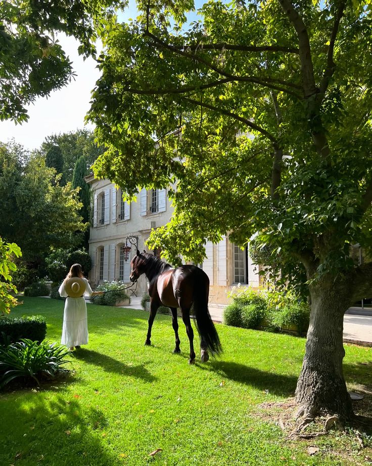 Hautes-Alpes - A Wild Mountain Horseback Journey Through Provence