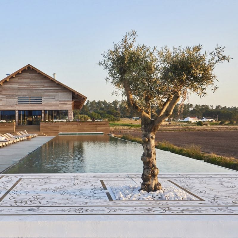 Alentejo – A Rice-Field Wellness Resort with Minimalist Coastal Soul