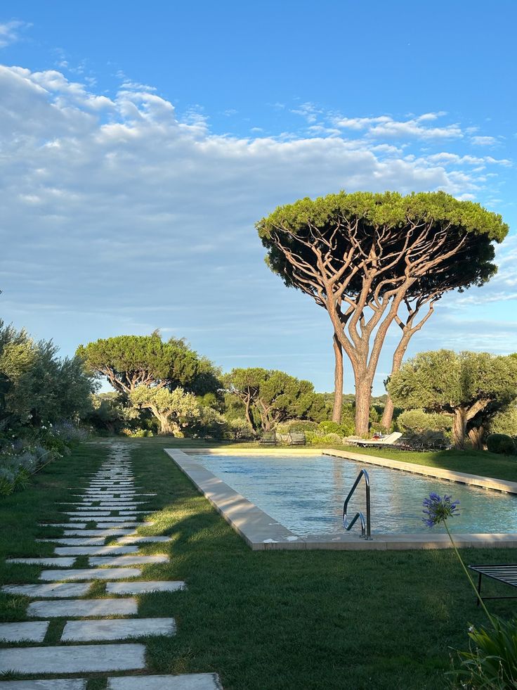 Saint-Tropez – A Vintage 1960s Coastal Hideaway Framed by Pine Groves