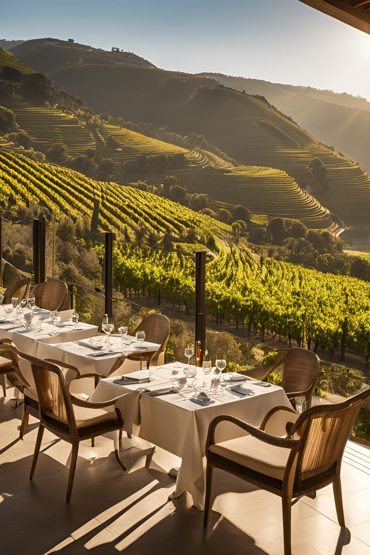 Douro Valley – A Terraced Vineyard River Retreat with Organic Wine Tasting
