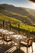 Douro Valley – A Terraced Vineyard River Retreat with Organic Wine Tasting