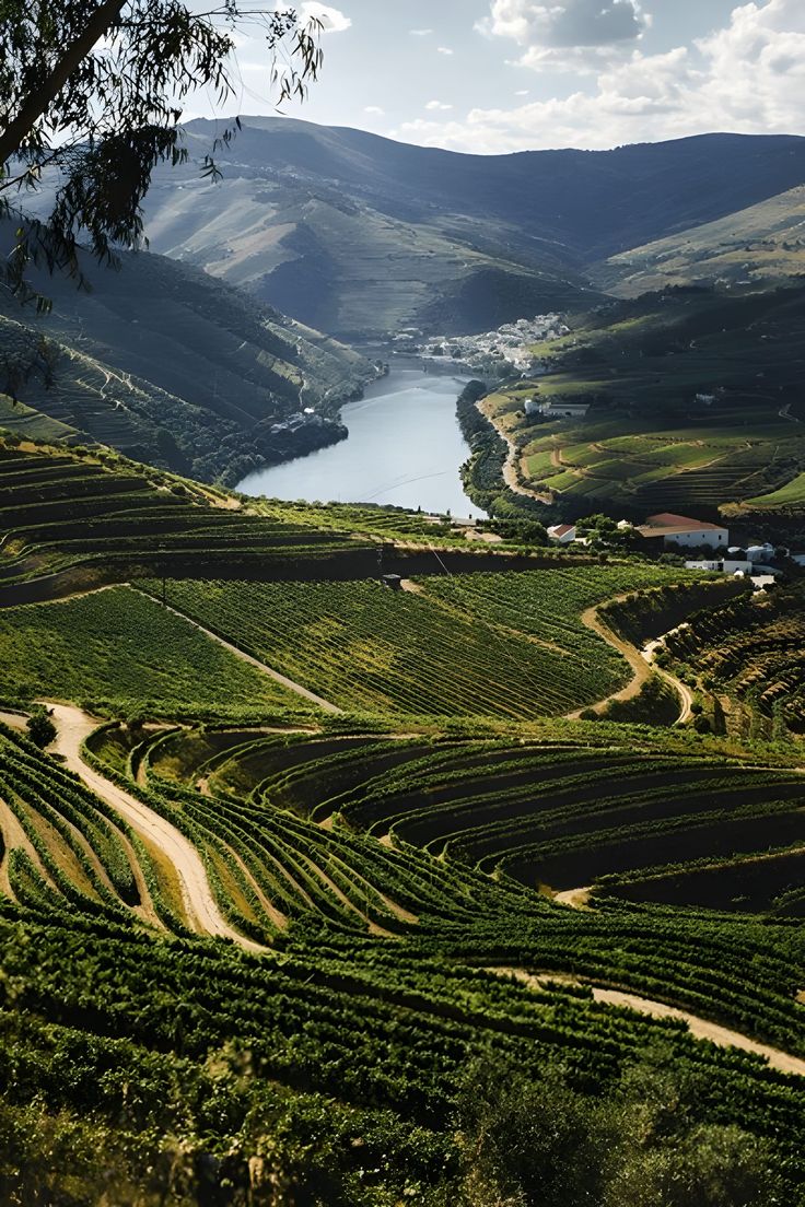 Douro Valley – A Terraced Vineyard River Retreat with Organic Wine Tasting