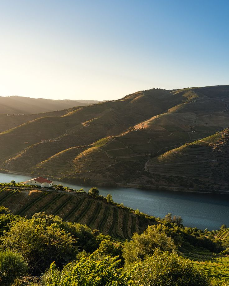 Douro Valley – A Terraced Vineyard River Retreat with Organic Wine Tasting